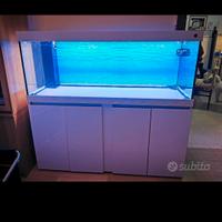 Acquario Marino 150x50x50  450l con sump