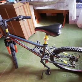 Bicicletta ruote da 24
