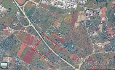 Terreno agricolo Morciano di Leuca