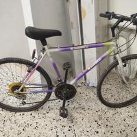 Bicicletta usata colorata