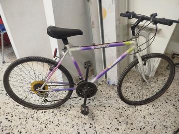 Bicicletta usata colorata