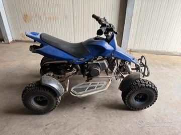 Mini Quad 50