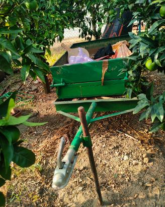 cernitrice per olive