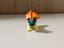 Immagine 5