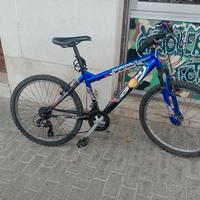 BICI GFM MERCURY 