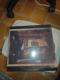 Lotto vinili LP 33 giri 