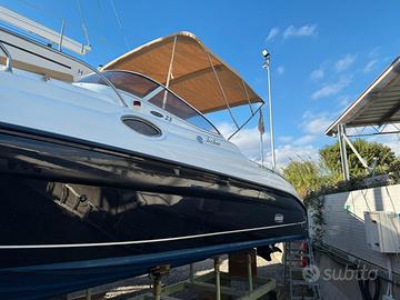 Ranieri 23 Sea Lady