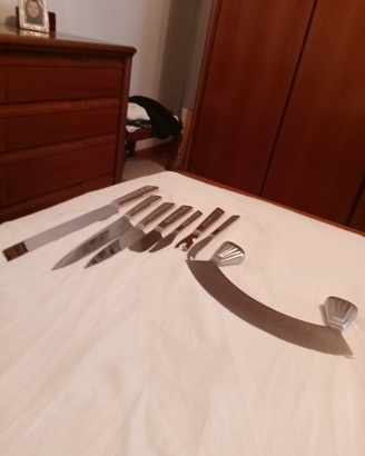Set coltelli inox
