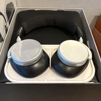 Bang & Olufsen Beoplay H100