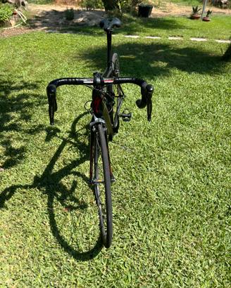 Specialized