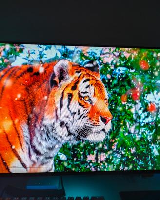 ALIENWARE 27 2k 240hz