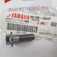 Bullone Pinza Freno Yamaha TDM 900