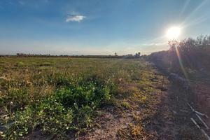 Terreno agricolo pianeggiante SP102i, Paternò