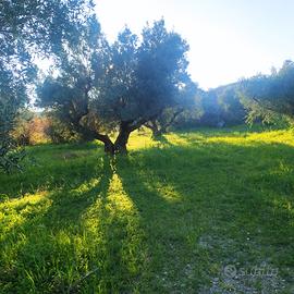 Terreno Agricolo a Gelsitello Simeri Mare ss 106