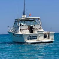 Tiara Pursuit 3400 Express