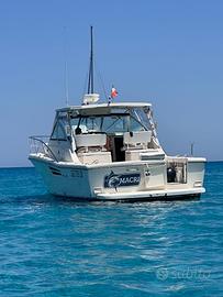 Tiara Pursuit 3400 Express