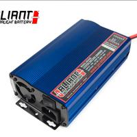 CARICA BATTERIE aliant Per batterie litio