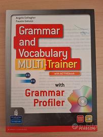 Grammar and vocabulary multi trainer