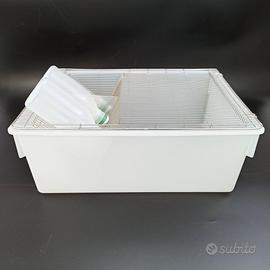 Gabbia allevamento roditori