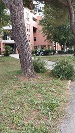 Ufficio/negozio/magazzino