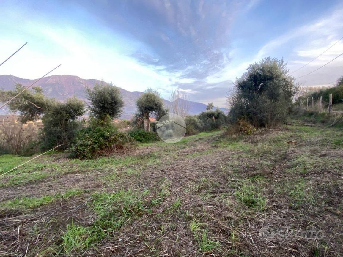 TER. AGRICOLO A PALOMBARA SABINA - Vista 5