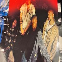 Hardaswallow – Radical Stuff (1994) 2LP Originale