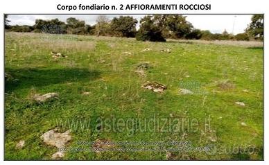 Terreno Agricolo Ghilarza [A4325130]