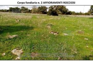 Terreno Agricolo Ghilarza [A4325130]