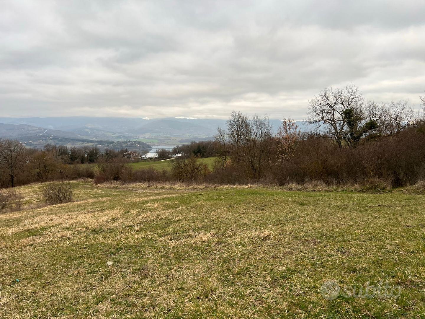 Terreno seminativo Barberino del Mugello - Vista 2