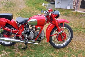 Moto Guzzi Altro modello - 1951