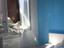Immagine 9