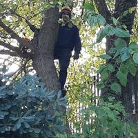 Giardiniere specializzato a prezzi onesti