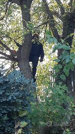 Giardiniere specializzato a prezzi onesti