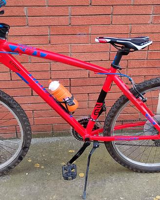 Bicicletta Torpado MTB 7710 MERCURY