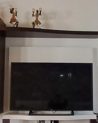 PORTA TV