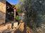 Immagine 28