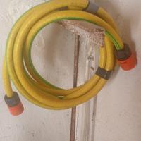 canna da giardino piccola 