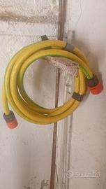 canna da giardino piccola 