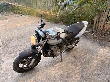 Hornet 600 del 2004
