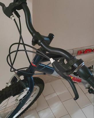 bici focus schiano 