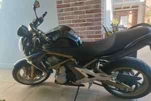 Kawasaki Er 6n