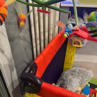 Box , cavalluccio clementoni