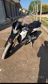 Aprilia dorsoduro