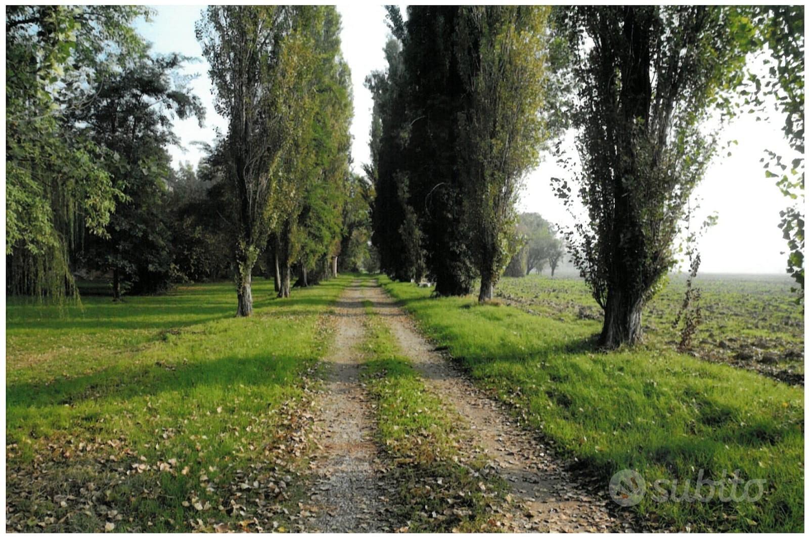 Suggestivo rustico d epoca 1800 - Vista 5