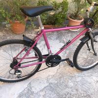 Bici Mtb  misura 24