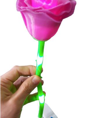 Rosa led San Valentino 