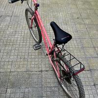 Bici da sistemare