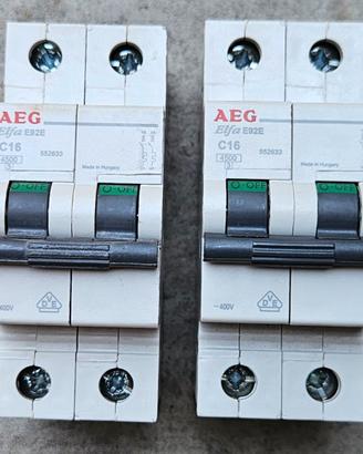 Interruttore magnetotermico AEG Elfa E92E C16
