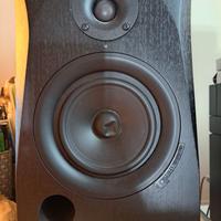 Coppia monitor da studio Icon PX-T5A