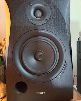 Coppia monitor da studio Icon PX-T5A